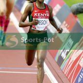 Faith Kipyegon _04O4873