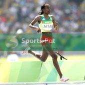 Almaz Ayana_11I4692